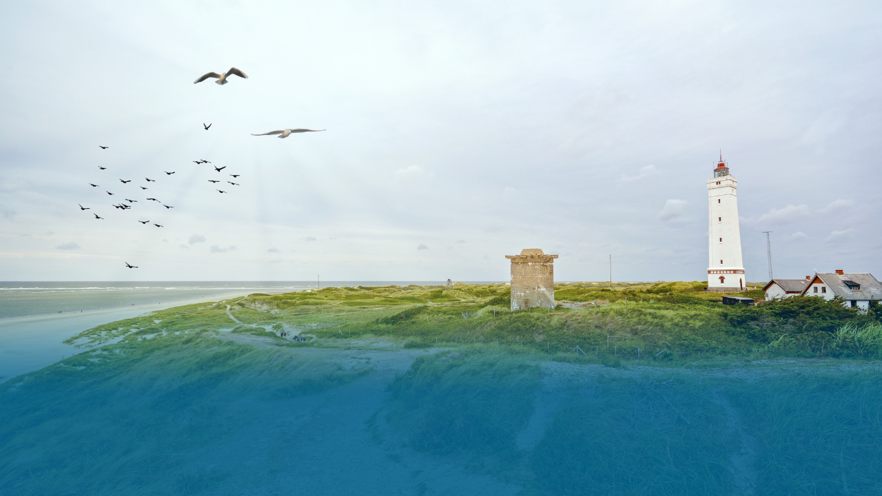 How to Lease a Car in Denmark (7)