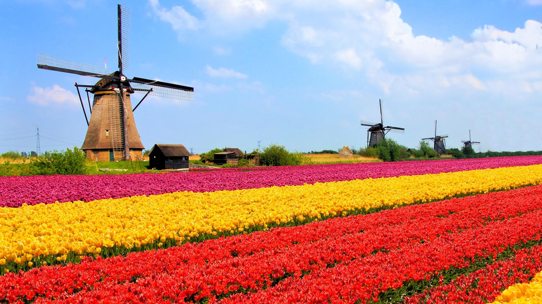 netherlands
